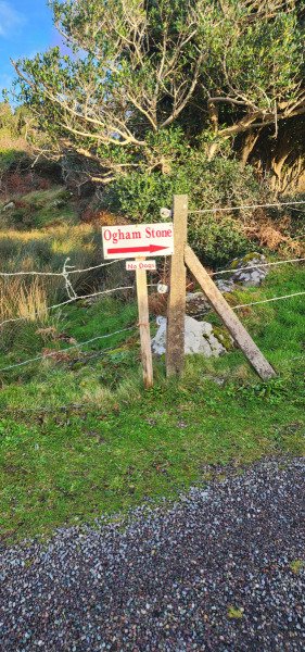 121923_0207_BEARA-OGHAM