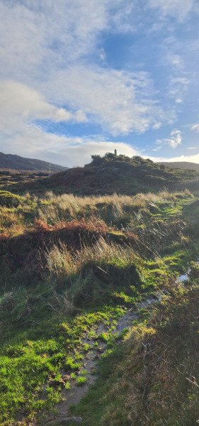 121923_0213_BEARA-OGHAM
