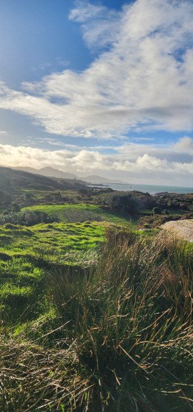 121923_0221_BEARA-OGHAM