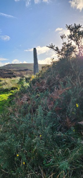 121923_0235_BEARA-OGHAM