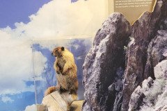 Black Canyon National Park, Delta, Colorado. Adventures of Sir Thomas Oisin Rhymour. Photo copyright by Techno Tink Photography www.technotink.net/photography. (c) 2024: Thomas Baurley.