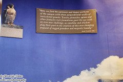 Black Canyon National Park, Delta, Colorado. Adventures of Sir Thomas Oisin Rhymour. Photo copyright by Techno Tink Photography www.technotink.net/photography. (c) 2024: Thomas Baurley.