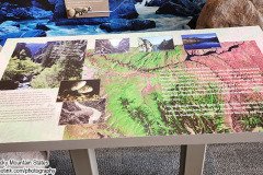 Black Canyon National Park, Delta, Colorado. Adventures of Sir Thomas Oisin Rhymour. Photo copyright by Techno Tink Photography www.technotink.net/photography. (c) 2024: Thomas Baurley.