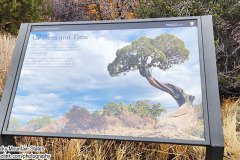 Black Canyon National Park, Delta, Colorado. Adventures of Sir Thomas Oisin Rhymour. Photo copyright by Techno Tink Photography www.technotink.net/photography. (c) 2024: Thomas Baurley.