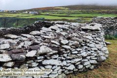 The Dunbeg Ring Fort, Dingle Peninsula, Kerry, Ireland. Monday, 18 December 2023. Adventures in County Cork and County Kerry, Ireland. Photos by Thomas Baurley, Techno Tink Media.