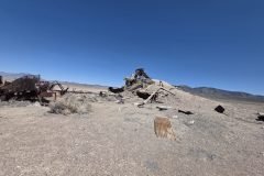 Area 51 Spring Break Trip 2026 - Extraterrestrial highway, rachel, Nevada. https://technowanderer.com/?p=8308 Adventures of Thomas and Cian, April 17, 2026.  https://technotink.net/adventures/  No use of photos or media without permission (c) 2026 Thomas Baurley, Techno Tink media www.technotink.com. All rights reserved.