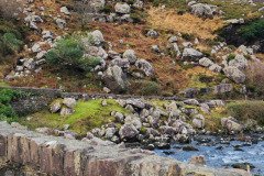 121923_0060_GAPDUNLOE