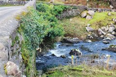 121923_0061_GAPDUNLOE