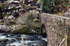121923_0064_GAPDUNLOE
