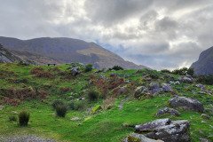 121923_0065_GAPDUNLOE