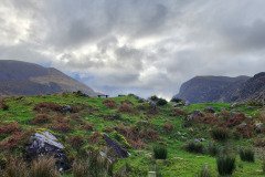 121923_0067_GAPDUNLOE