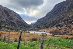 121923_0068_GAPDUNLOE