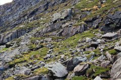 121923_0077_GAPDUNLOE