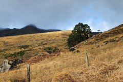 121923_0083_GAPDUNLOE
