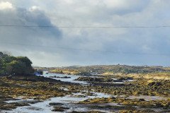 121923_0239_BEARA-HAG