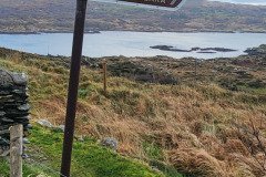 121923_0240_BEARA-HAG