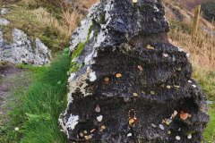 121923_0245_BEARA-HAG