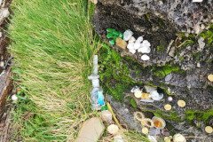121923_0246_BEARA-HAG