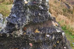121923_0248_BEARA-HAG