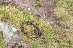 121923_0249_BEARA-HAG