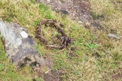 121923_0250_BEARA-HAG