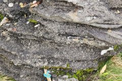 121923_0251_BEARA-HAG