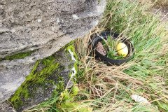 121923_0254_BEARA-HAG
