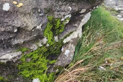 121923_0255_BEARA-HAG