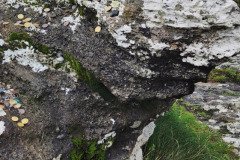 121923_0256_BEARA-HAG