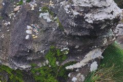 121923_0257_BEARA-HAG