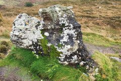 121923_0258_BEARA-HAG
