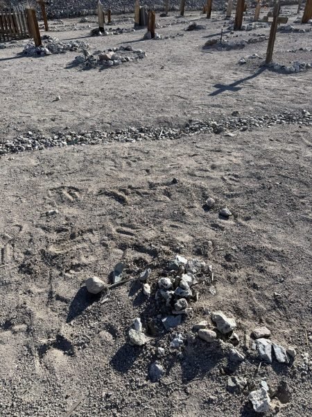 Area 51 Spring Break Trip 2026 - haunted old Tonopah Cemetery, Tonopah, Nevada. https://technowanderer.com/?p=9213  Adventures of Thomas and Cian, April 17, 2026.  https://technotink.net/adventures/  No use of photos or media without permission (c) 2026 Thomas Baurley, Techno Tink media www.technotink.com. All rights reserved.