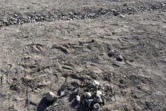 Area 51 Spring Break Trip 2026 - haunted old Tonopah Cemetery, Tonopah, Nevada. https://technowanderer.com/?p=9213  Adventures of Thomas and Cian, April 17, 2026.  https://technotink.net/adventures/  No use of photos or media without permission (c) 2026 Thomas Baurley, Techno Tink media www.technotink.com. All rights reserved.