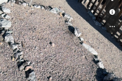 TONOPAH-NEV-041726-028