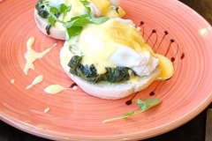 121923_0012_THE_SHIRE