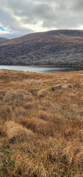 121923_0118_URAGH_CIRCLE