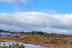 121923_0106_URAGH_CIRCLE