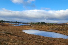 121923_0107_URAGH_CIRCLE
