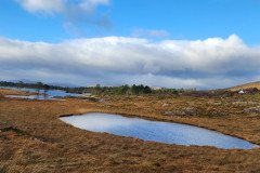 121923_0108_URAGH_CIRCLE