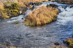 121923_0113_URAGH_CIRCLE
