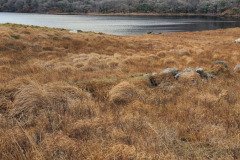 121923_0118_URAGH_CIRCLE