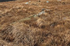 121923_0119_URAGH_CIRCLE