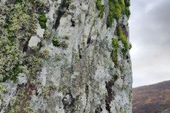 121923_0128_URAGH_CIRCLE