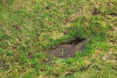 121923_0135_URAGH_CIRCLE