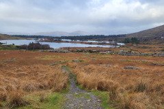 121923_0141_URAGH_CIRCLE