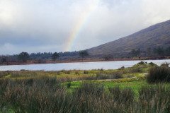 121923_0142_URAGH_CIRCLE