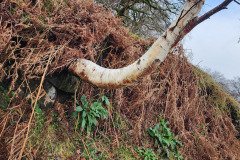 121923_0145_URAGH_CIRCLE