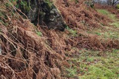 121923_0146_URAGH_CIRCLE