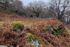 121923_0147_URAGH_CIRCLE