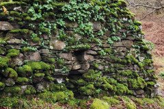 121923_0151_URAGH_CIRCLE